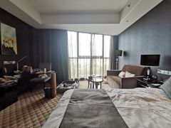 -常州环球恐龙城维景国际大酒店