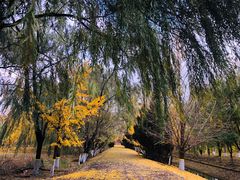 -北京市朝阳区第二少儿业余体校