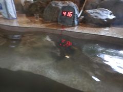 -贵御温泉