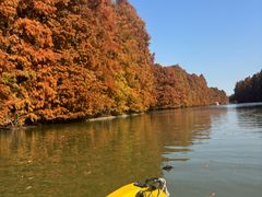 -上海海湾国家森林公园