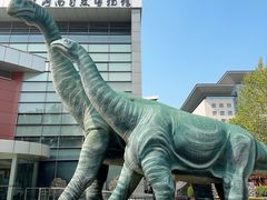 -河南自然博物馆