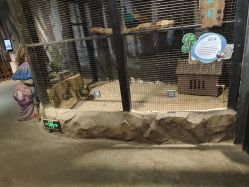 -酷嗒动物文化乐园(cutezoo西溪乐天城店)