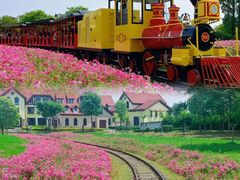 -歌斐颂巧克力小镇