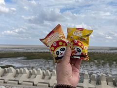 -南汇嘴观海公园