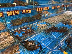 水产区-江杨农产品批发市场