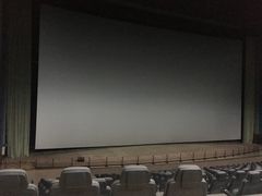 -天幕新彩云国际影城(激光巨幕店)