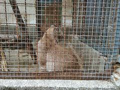 -昆明动物园