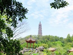 -顺峰山公园