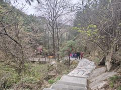 -王顺山国家森林公园