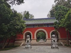 -灵谷景区