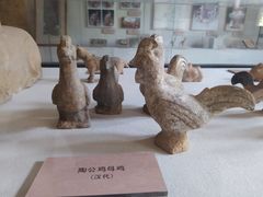 -北京动物园-畅观楼