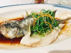 -红棉中餐厅·广州海航威斯汀酒店