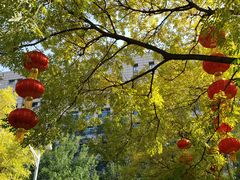 -丰台花园