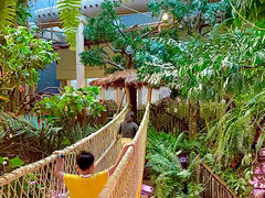 -正佳雨林生态植物园