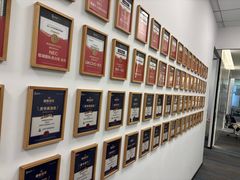 -菠萝国际教育专注Alevel·IGCSE·IB·AP·托福雅思培训辅导(静安校区)