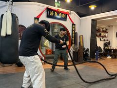 -温鉴良实用咏春拳