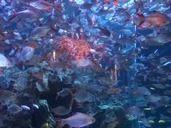 -成都浩海立方海洋公园