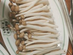 -禄婶鸡煲·打边炉