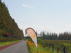 -上海长兴岛郊野公园