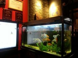 android_upload_pic-汉刺青TATTOO STUDIO