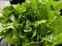 -潮发潮汕牛肉店(芳村店)