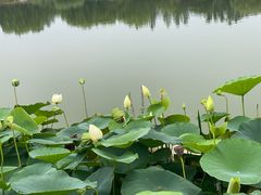 -燕郊植物园