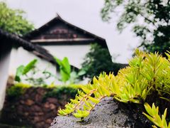 -法云安缦酒店