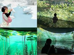 -中国湿地博物馆