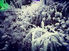 -大平台龙居瀑布旅游区