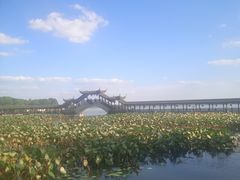 -观桥阁(锦溪店)