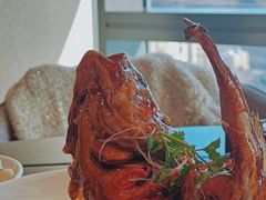 -大连君悦酒店·星海湾壹号Dalian·Dalian(星海广场店)