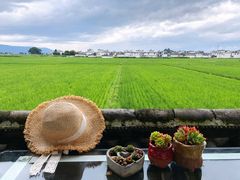 -喜林苑·稻田餐厅(品相府店)