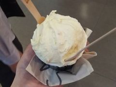 -野人先生现做冰淇淋(西安赛格店)