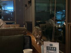 -咖法森林·咖啡  酒吧(天河店)