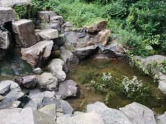 -石老人观光园