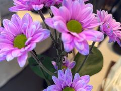 -狮王府淮扬菜(夫子庙老门东店)