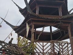 -呀路古热带植物园