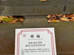 -十八棵（老龙井）御茶园(老龙井店)