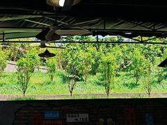 -桃源山庄·摘樱桃·柴火鸡·烧烤团建(龙泉山店)