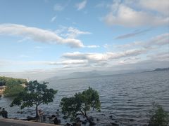 -深圳湾公园(南山区)