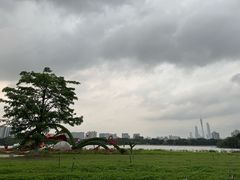 -海珠湖公园