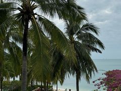 -日落吧·海景咖啡厅·餐酒吧·鸡尾酒·下午茶·乐队表演·浪漫夕阳·三亚文华东方酒店
