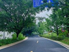 -金水泊山庄·花椒鸡(铁山坪店)