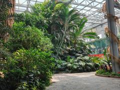 -郑州植物园