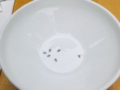 -鸭得堡老鸭汤·鸭血粉丝(凤凰西街店)
