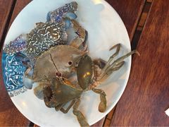 iphone_upload_pic-渔家火锅·海鲜自助餐·演艺(亚龙湾天域酒店)