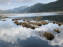 -腾冲北海湿地