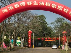 -海南热带野生动植物园