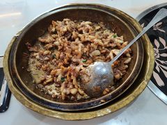 -港升鱼师傅·中山脆肉鲩