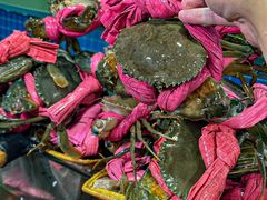 -辣螃铠盆盆蟹大排档(总店)